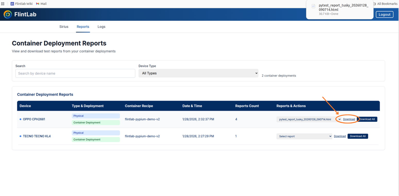 Download Individual Report interface