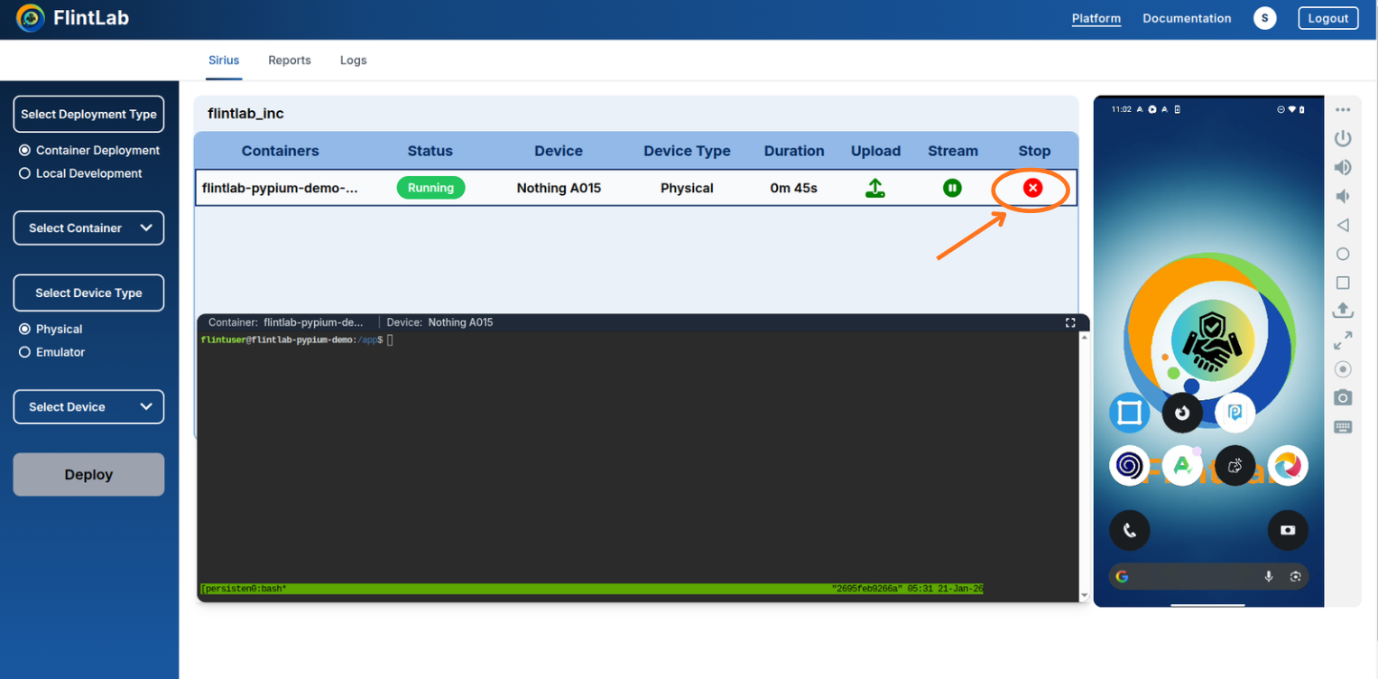 Test execution interface