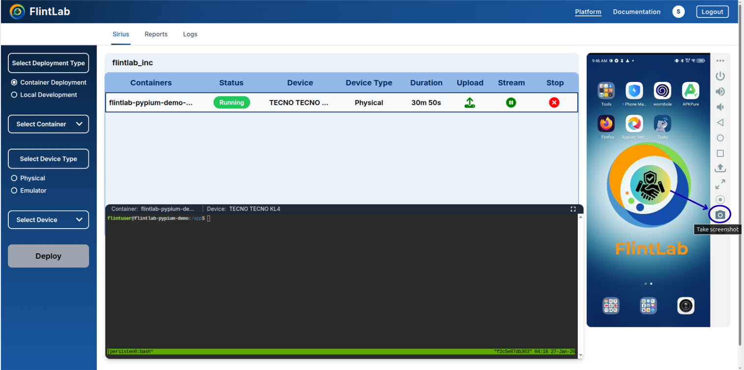 Screenshot capture button